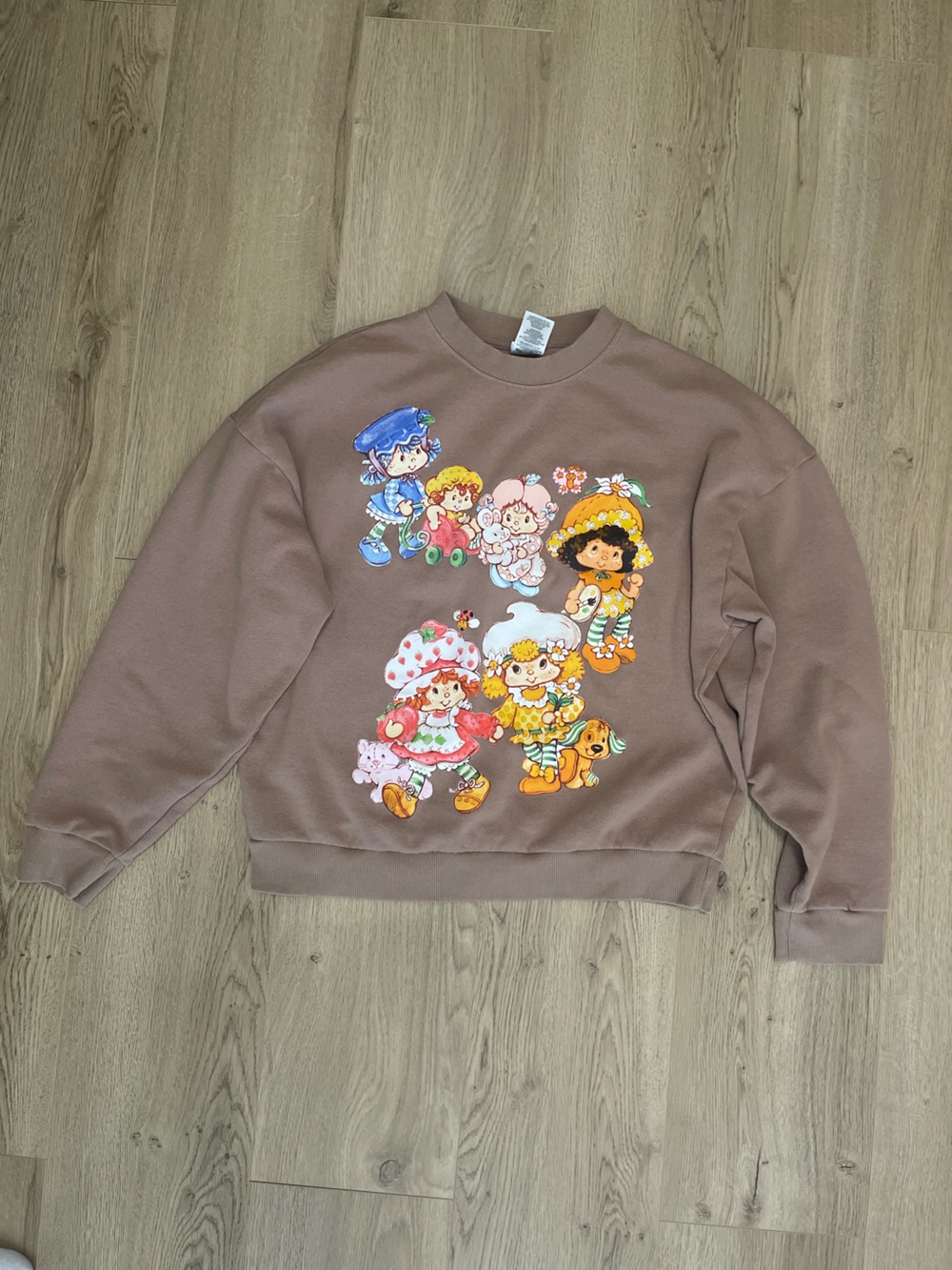 Strawberry Shortcake Pullover Sweatshirt (M)